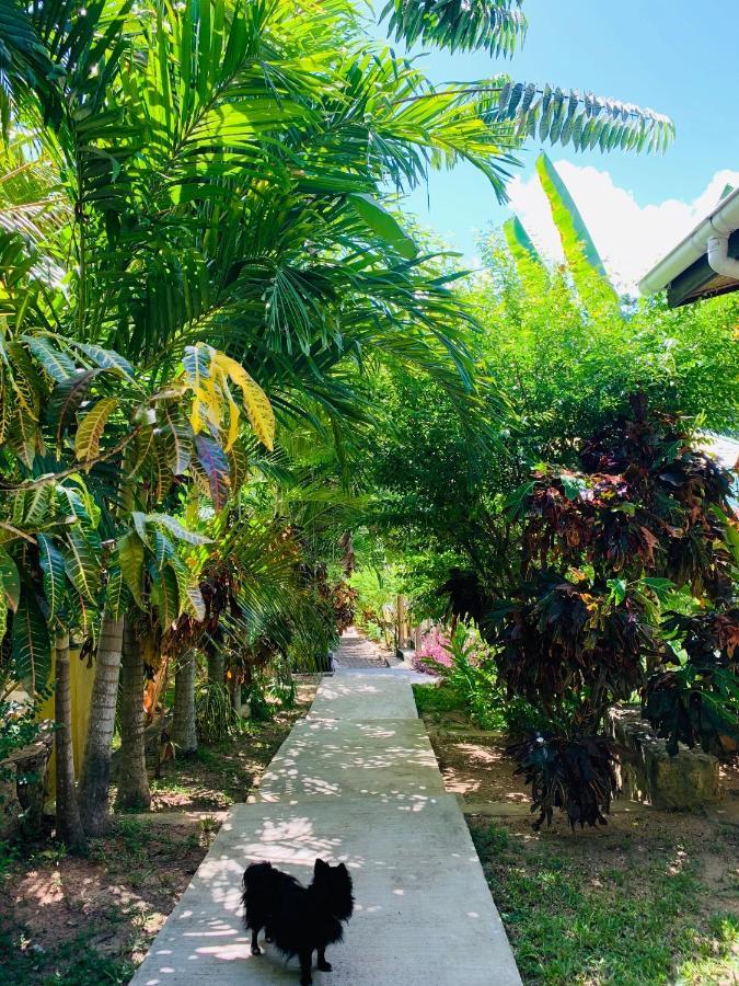 O'Soleil Chalets Self Catering La Digue Dış mekan fotoğraf